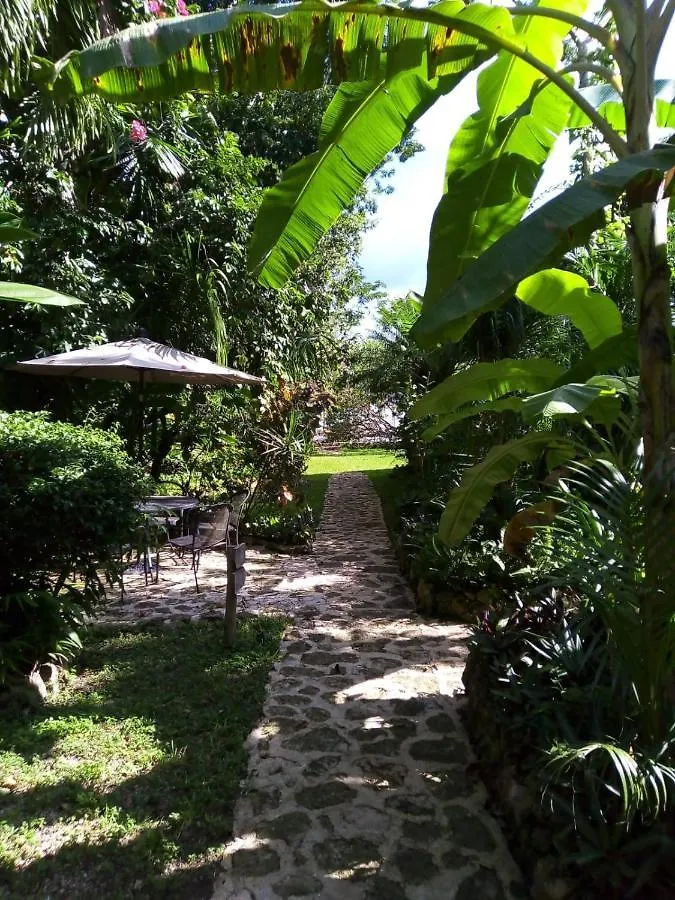 Bego'S Lagoon House. Free Kayaks And Bikes Bacalar